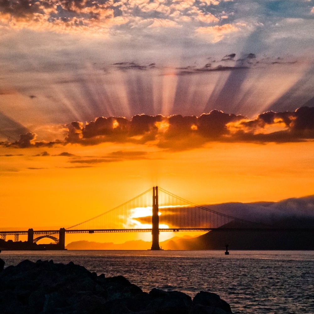 Meet your Posher, Dimi